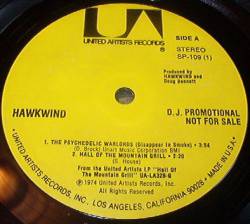 Hawkwind : The Psychedelic Warlords